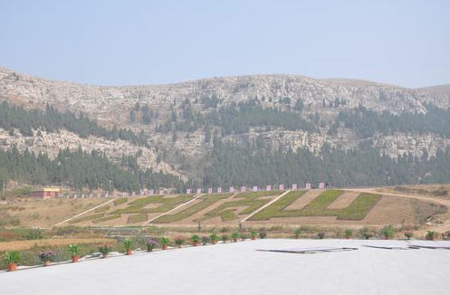 按此在新窗口浏览图片