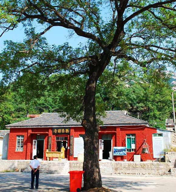 文登无染寺威海山东寺院