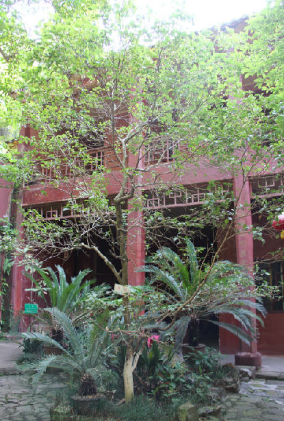 按此在新窗口浏览图片