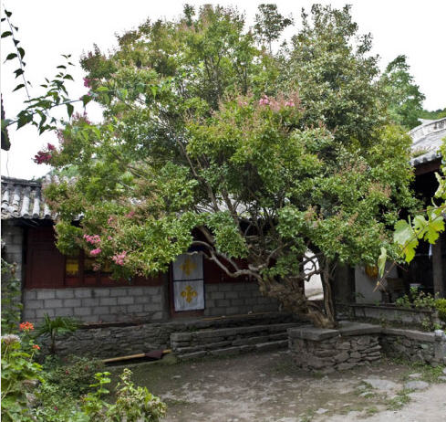 按此在新窗口浏览图片