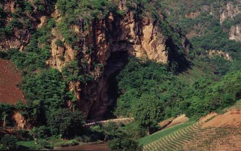 按此在新窗口浏览图片