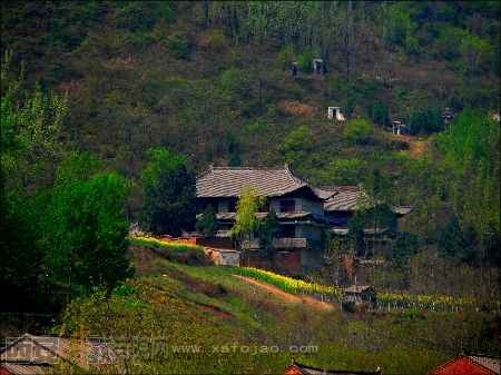 按此在新窗口浏览图片
