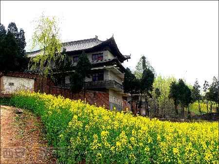 按此在新窗口浏览图片