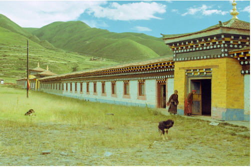 按此在新窗口浏览图片