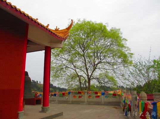 按此在新窗口浏览图片