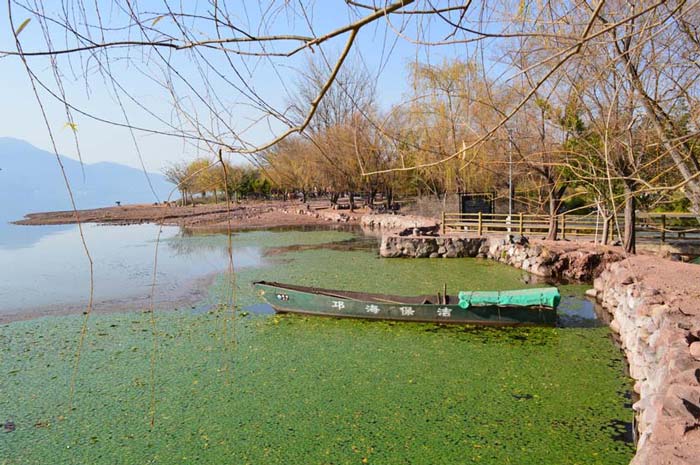 按此在新窗口浏览图片