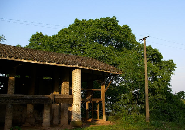 按此在新窗口浏览图片