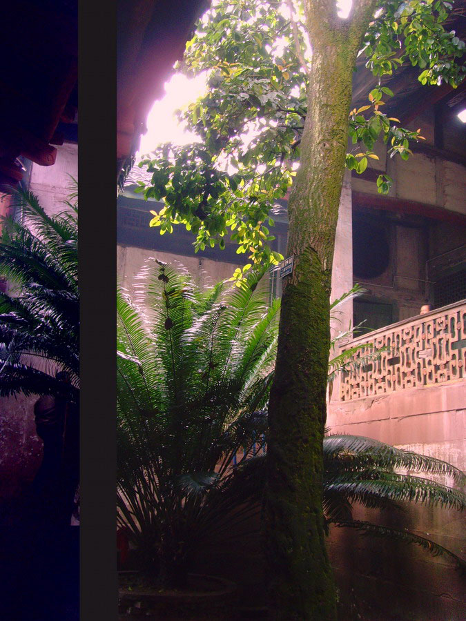 按此在新窗口浏览图片