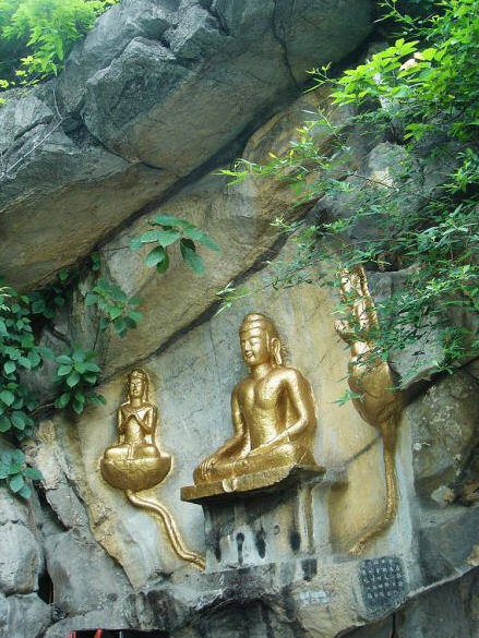 按此在新窗口浏览图片