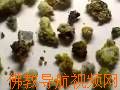 往生纪实影片大全-佛教电影网