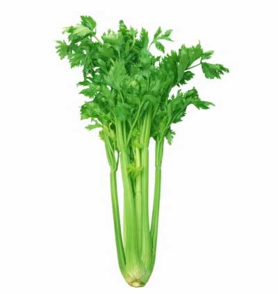 用蔬菜果汁调整你的体能(图)