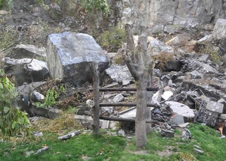 组图：震后卧龙大熊猫的生活