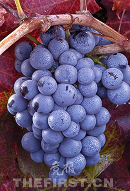 点击图片进入下一页