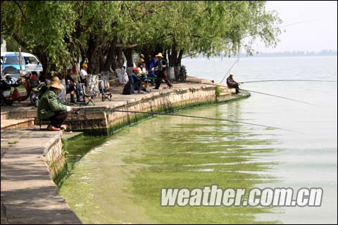 滇池常年受到污染的困扰，水面漂浮的蓝藻更是使污染情况雪上加霜。