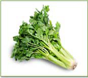 点击图片可在新窗口打开