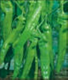 点击图片可在新窗口打开