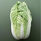 点击图片可在新窗口打开