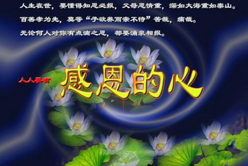 人人都应有一颗感恩的心-佛教导航