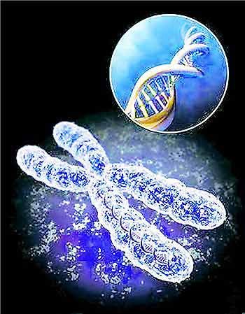 姓氏文化见证中华民族血脉 古今逾24000个