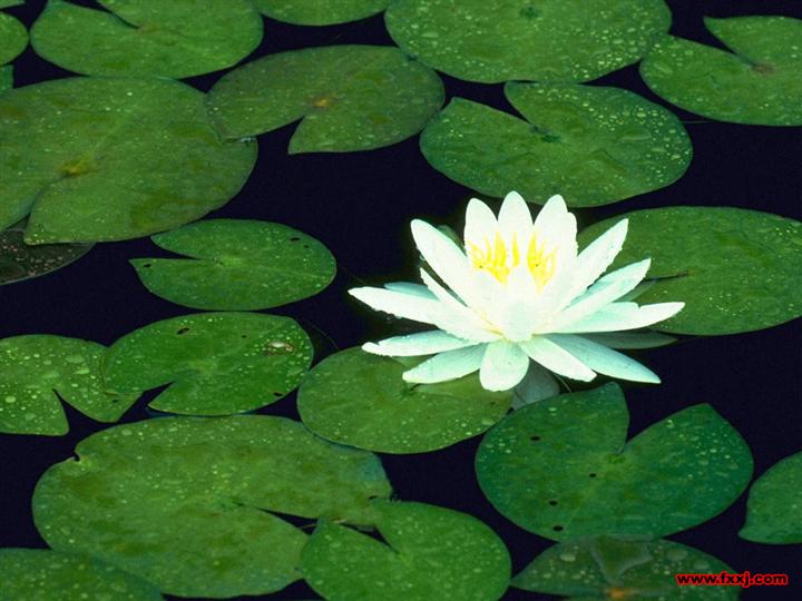 点击图片可在新窗口打开