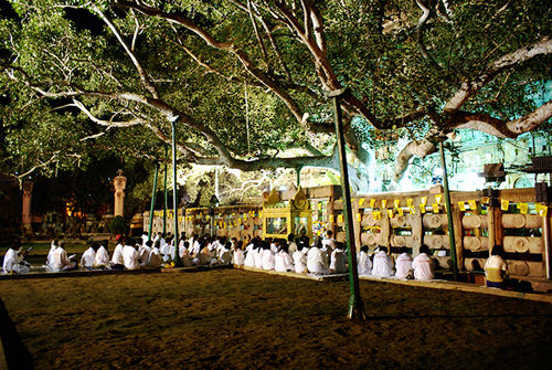 金刚座与菩提树