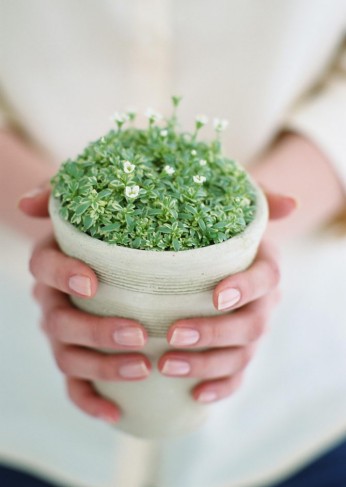 图片来源:资料图