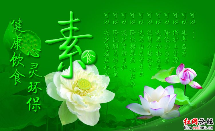 吃素有哪些人生乐趣