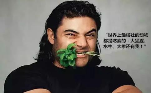 Patrik Baboumian:慈悲是成为纯素主义者的原因 Patrik Baboumian:慈悲是成为纯素主义者的原因