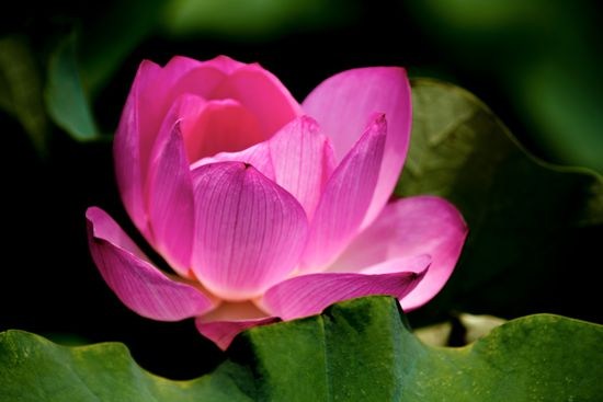 不求世间福报,而自得世间福报