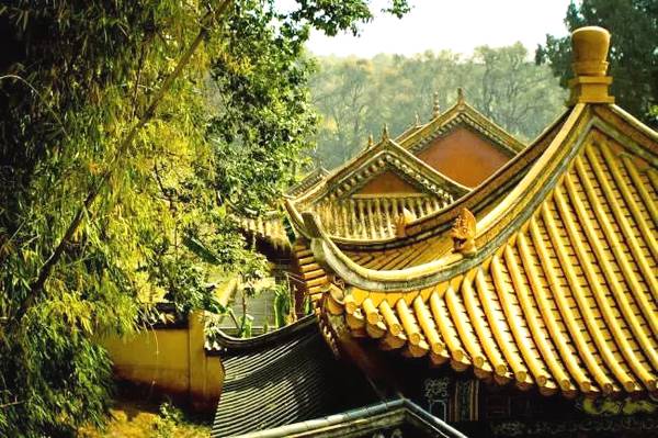 怎样理解娑婆一大劫,极乐一昼夜