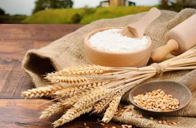 腥荤扰五脏,素食益健康