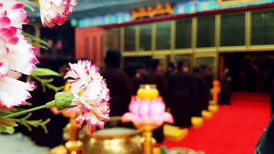 为什么你觉得净土之法那么难信