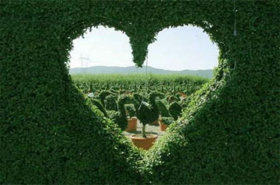 素食是一种绿色慈善