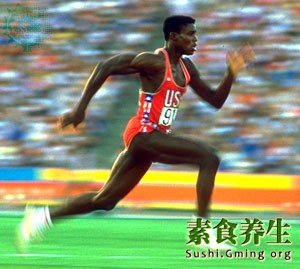 素食冠军刘易斯