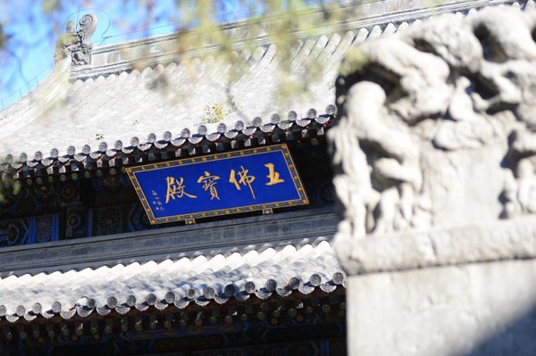 大般涅槃经：不食肉者，有大功德