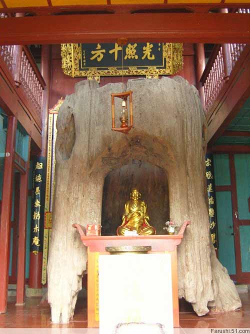 按此在新窗口浏览图片