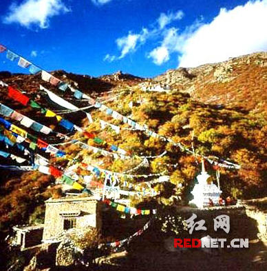 按此在新窗口浏览图片