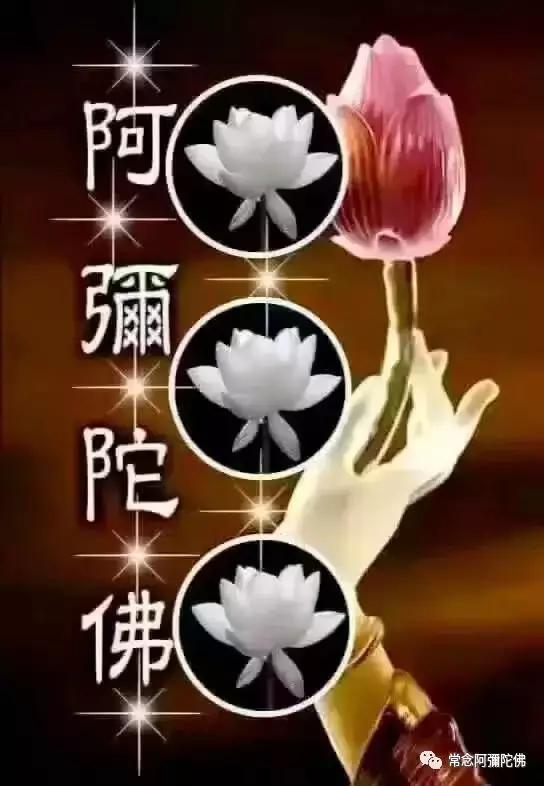 一人念佛愈肝癌,全村兴起念佛热!